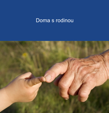 IQ Roma servis, z.s.