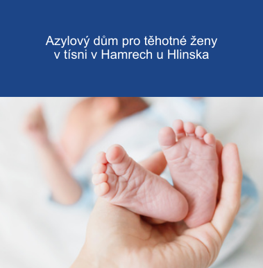Obecně prospěšná společnost Dlaň životu
